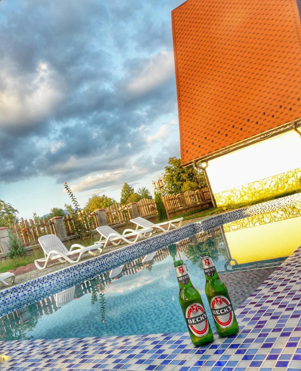 Casa Robi Hotel Pestisani Kültér fotó